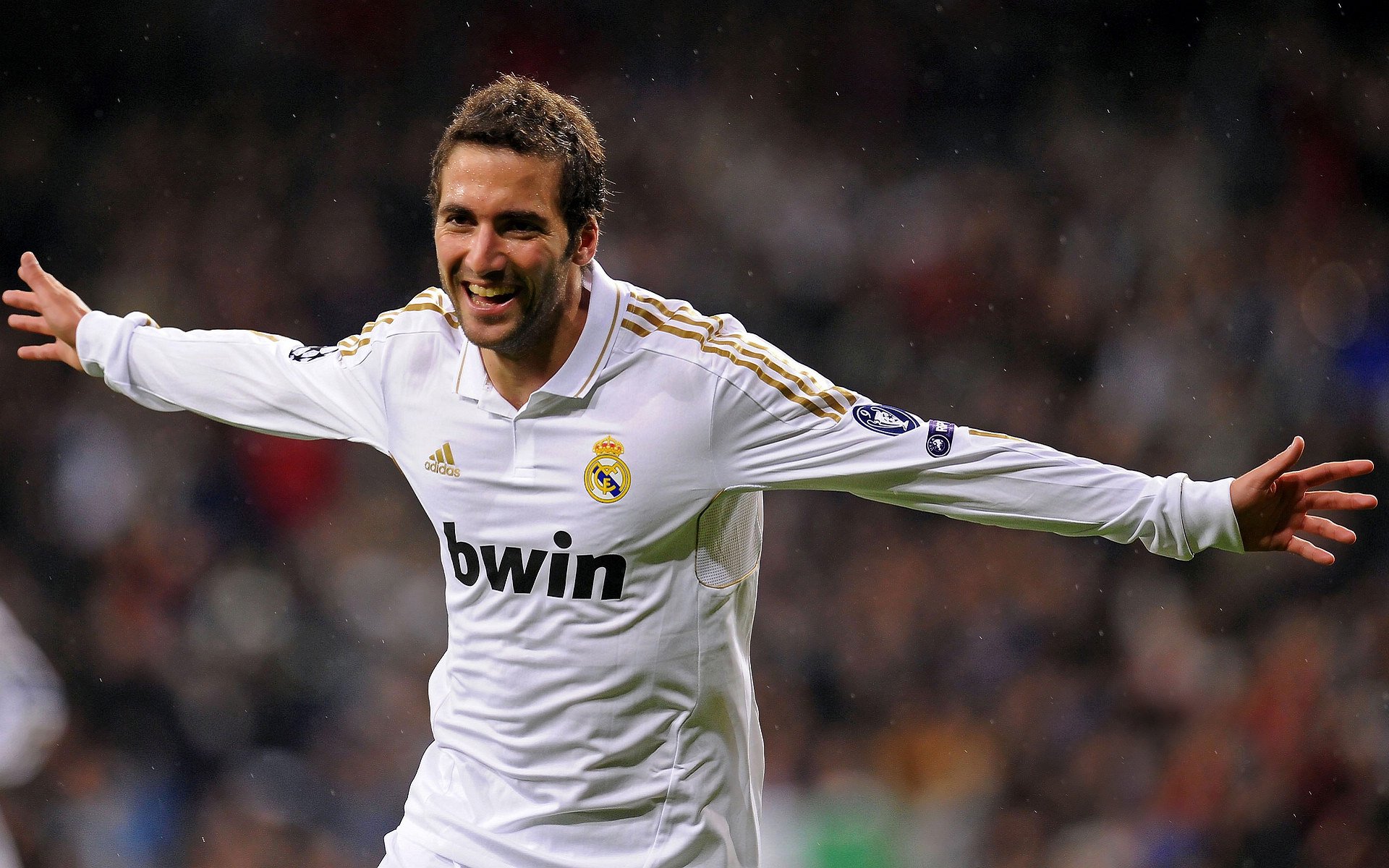 体育明星年度总结